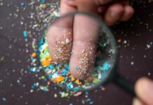 Estudo revela que estamos comendo cada vez mais plástico; Quantidade é impressionante
