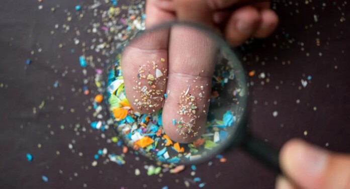 Estudo revela que estamos comendo cada vez mais plástico; Quantidade é impressionante