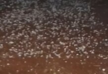 foto de granizo em cidade do rio grande do sul