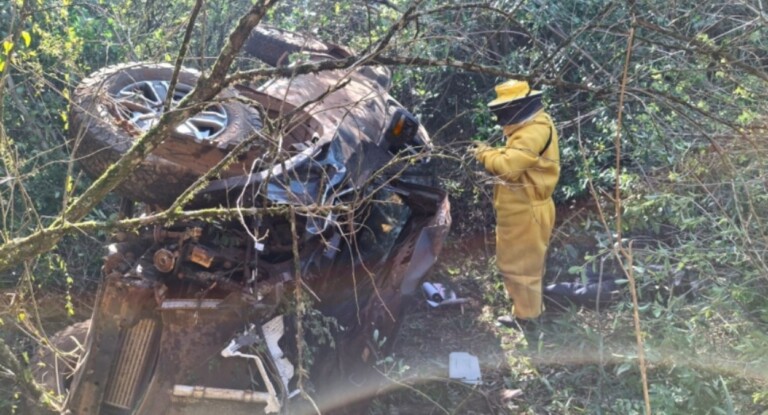 Homem de 21 anos morre em acidente com caminhonete na RS-392