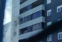 Gato morre durante incêndio em apartamento em Canoas