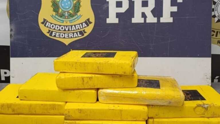 As drogas que foram apreendidas