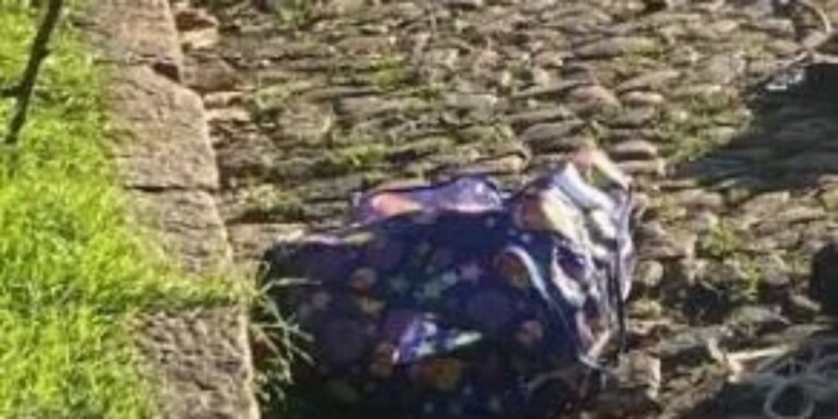 O que se sabe sobre caso de mulher encontrada morta dentro de sacos de lixo em Porto Alegre