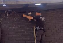 foto da operação dama de copas
