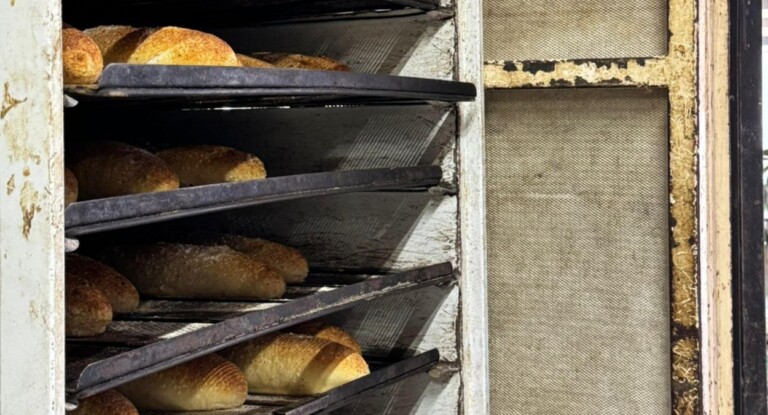 Famosa padaria de Porto Alegre é interditada por vender alimentos podres com fezes de rato