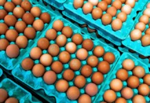 Ovos forada geladeira