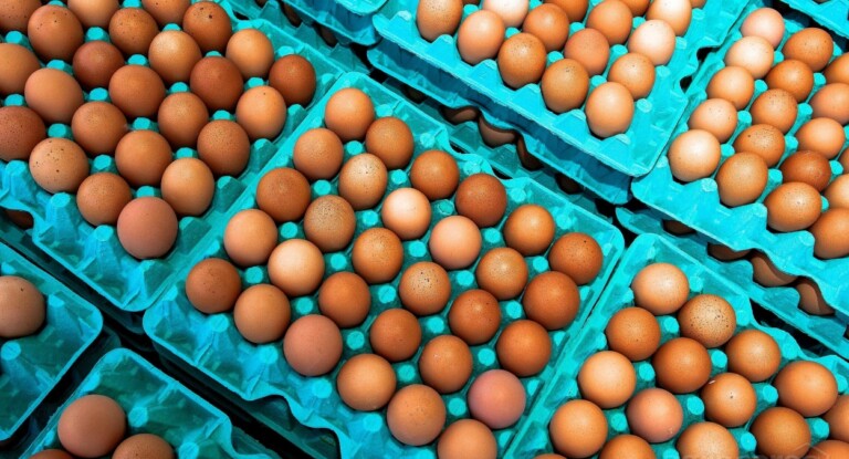 Ovos forada geladeira