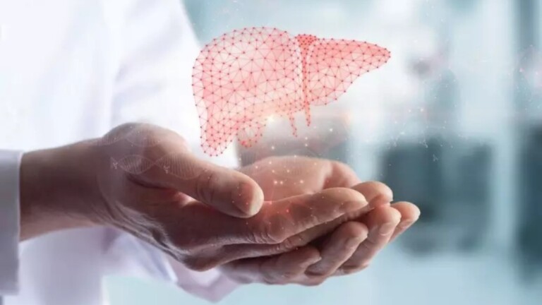 hábitos que ajudam a regenerar seu fígado