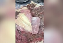 Clientes passam mal após comerem em restaurante interditado em Porto Alegre