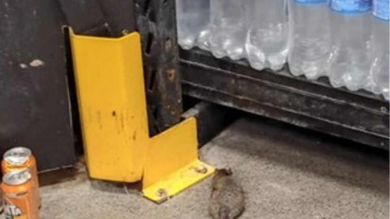 Na foto, supermercado que foi interditado em pouso alegre