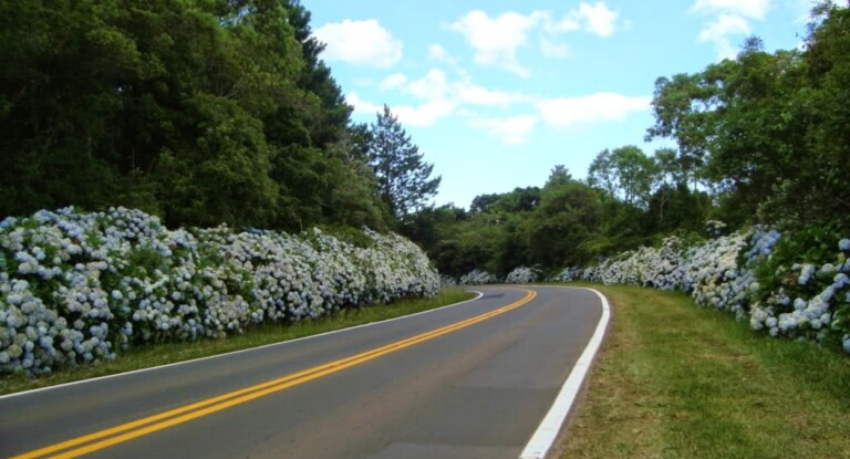 Linha de trem Porto Alegre-Gramado passará por Canoas; veja quando inicia