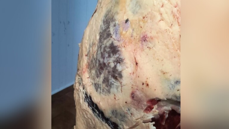 As carnes que foram apreendidas