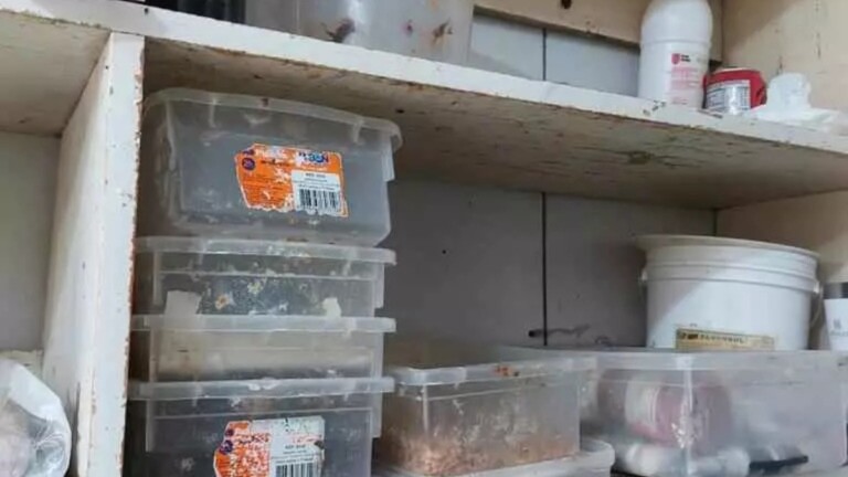 Os alimentos impróprios foram apreendidos no litoral