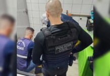 Animais sacrificados em Canoas: ex-funcionários relatam eutanásias em massa