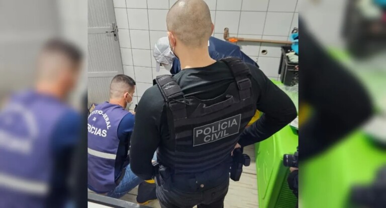 Animais sacrificados em Canoas: ex-funcionários relatam eutanásias em massa