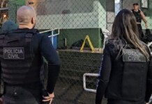 Canoas: denúncias apontam que ex-secretária fazia eutanásia em animais saudáveis