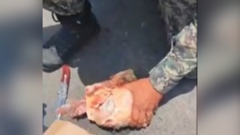 Na foto, as drogas que foram encontradas dentro do frango