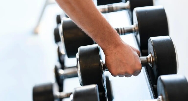 Estudo revela que pesos de academia têm centenas de vezes mais bactérias que assentos de privadas