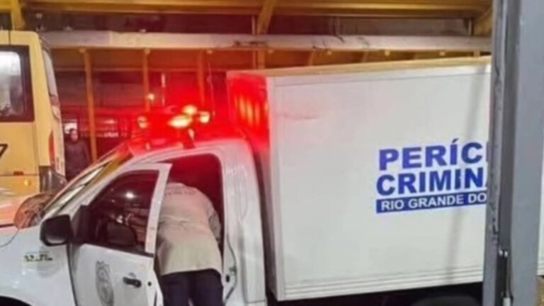 ocorrência da idosa morta