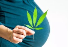 Novo estudo mostra que maconha pode prejudicar fertilidade de mulheres