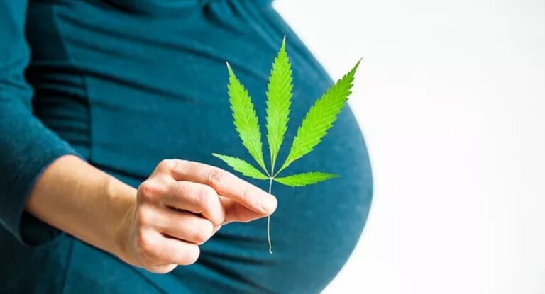 Novo estudo mostra que maconha pode prejudicar fertilidade de mulheres