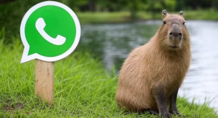 Modo Capivara no WhatsApp: como ativar a personalização?