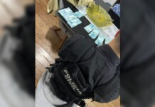 Operação Carrasco: tudo o que a polícia já descobriu sobre o caso da ex-secretária acusada de sacrificar mais de 230 animais