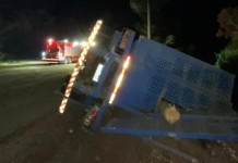 Criança de 6 anos morre em grave acidente na BR-116 O acidente na BR-116