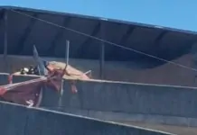 imagem do acidente na BR-448, na Freeway