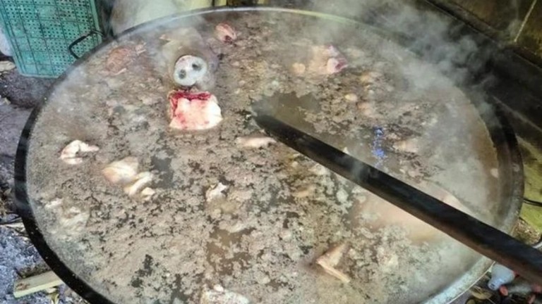 Os alimentos impróprios apreendidos