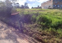 estrada onde foi encontrado os animais mortos em Nova Santa Rita