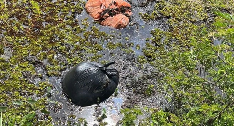 na foto, local em que animais encontrados mortos em Nova Santa Rita