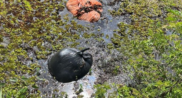 na foto, local em animais encontrados mortos em Nova Santa Rita