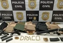 as armas que foram apreendidas