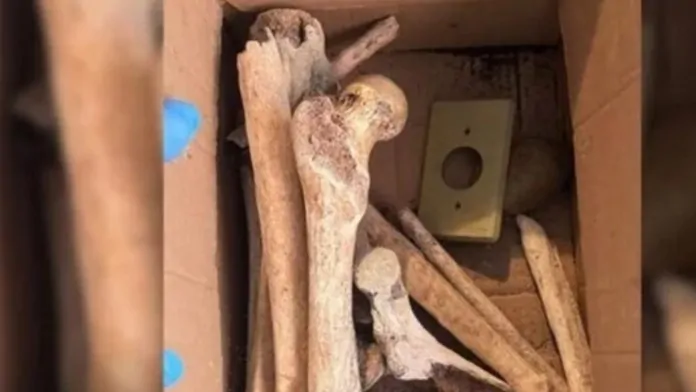 Os crânios e ossos humanos encontrados em apartamento