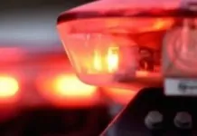 ocorrência dos criminosos presos por sangue de gatos