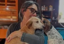 Ex-secretária de Canoas é indiciada por eutanásia em massa de cães e gatos Ex-secretária de Canoas é indiciada por eutanásia em massa de cães e gatos