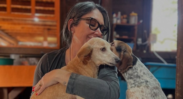 Ex-secretária de Canoas é indiciada por eutanásia em massa de cães e gatos Ex-secretária de Canoas é indiciada por eutanásia em massa de cães e gatos