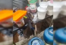 Fábrica de salgados é fechada após infestação de baratas em alimentos; Saiba onde é A fábrica de salgados que tinha baratas nos alimentos