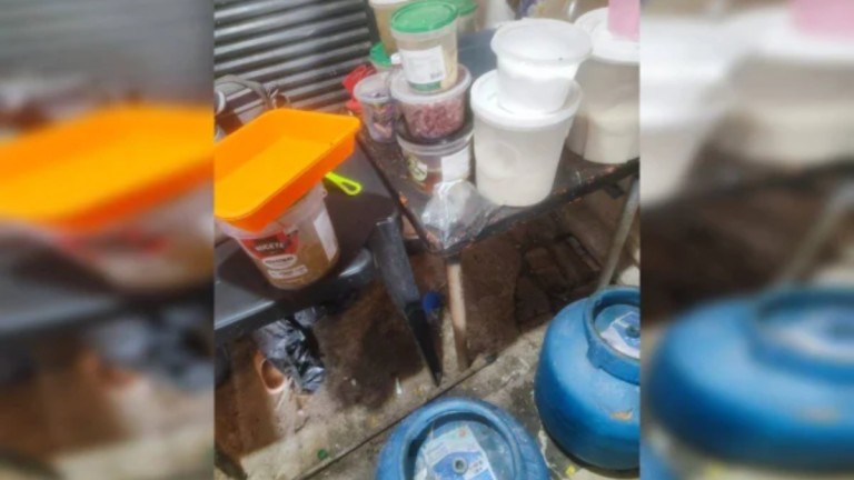 A fábrica de salgados que tinha baratas nos alimentos