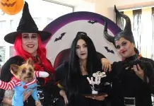 Halloween em Canoas: Café Floricultura surpreende com bruxas, flores e até um Chucky de quatro patas