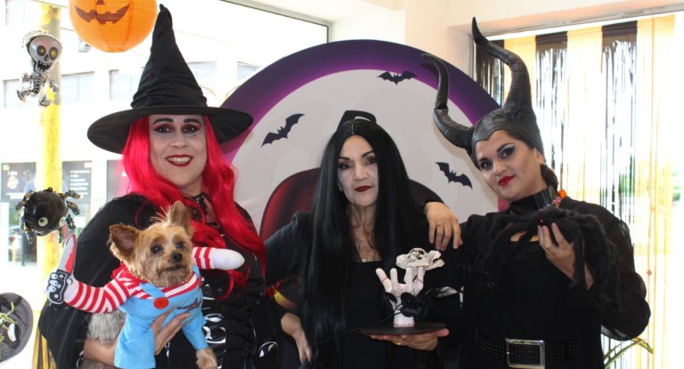 Halloween em Canoas: Café Floricultura surpreende com bruxas, flores e até um Chucky de quatro patas