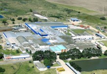 a empresa que houve o vazamento de amônia em Bagé