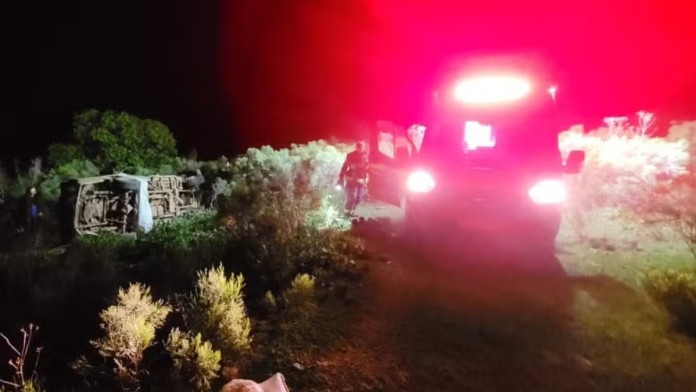 pai-filha-ataque-de-abelhas Ocorrência do pai e filha que morreram após ataque de abelhas