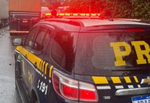 Ocorrência do pedestre que morreu na BR-290