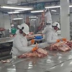 Famoso frigorífico do RS pede falência por dívida de R$ 75 milhões Famoso frigorífico do RS pede falência por dívida de R$ 75 milhões