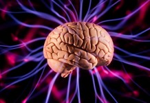 Pare a autossabotagem: treine o cérebro com pequenas vitórias