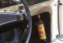 Posso transportar bebidas alcoólicas no carro sem problemas? Resposta vai surpreender