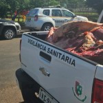 Durante fiscalização de alimentos impróprios, 400 kg de carne suja são apreendidas no RS