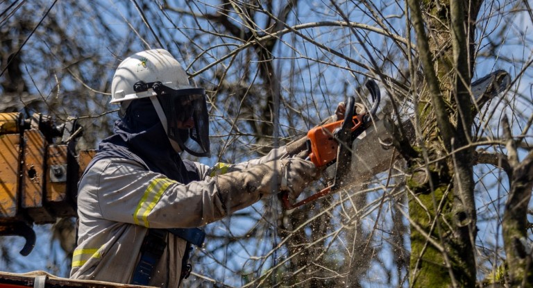 Canoas intensifica poda e supressão de árvores para prevenir danos em temporais